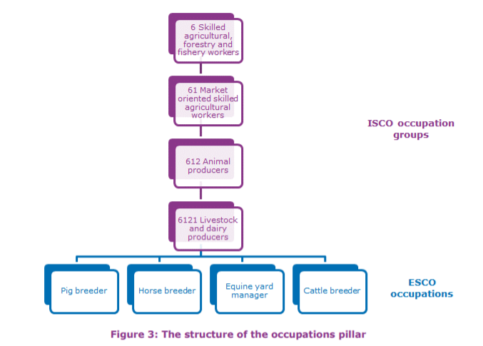 structure occupations pillar